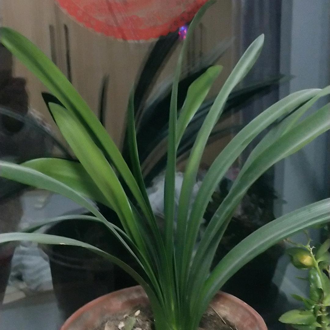 海之澜