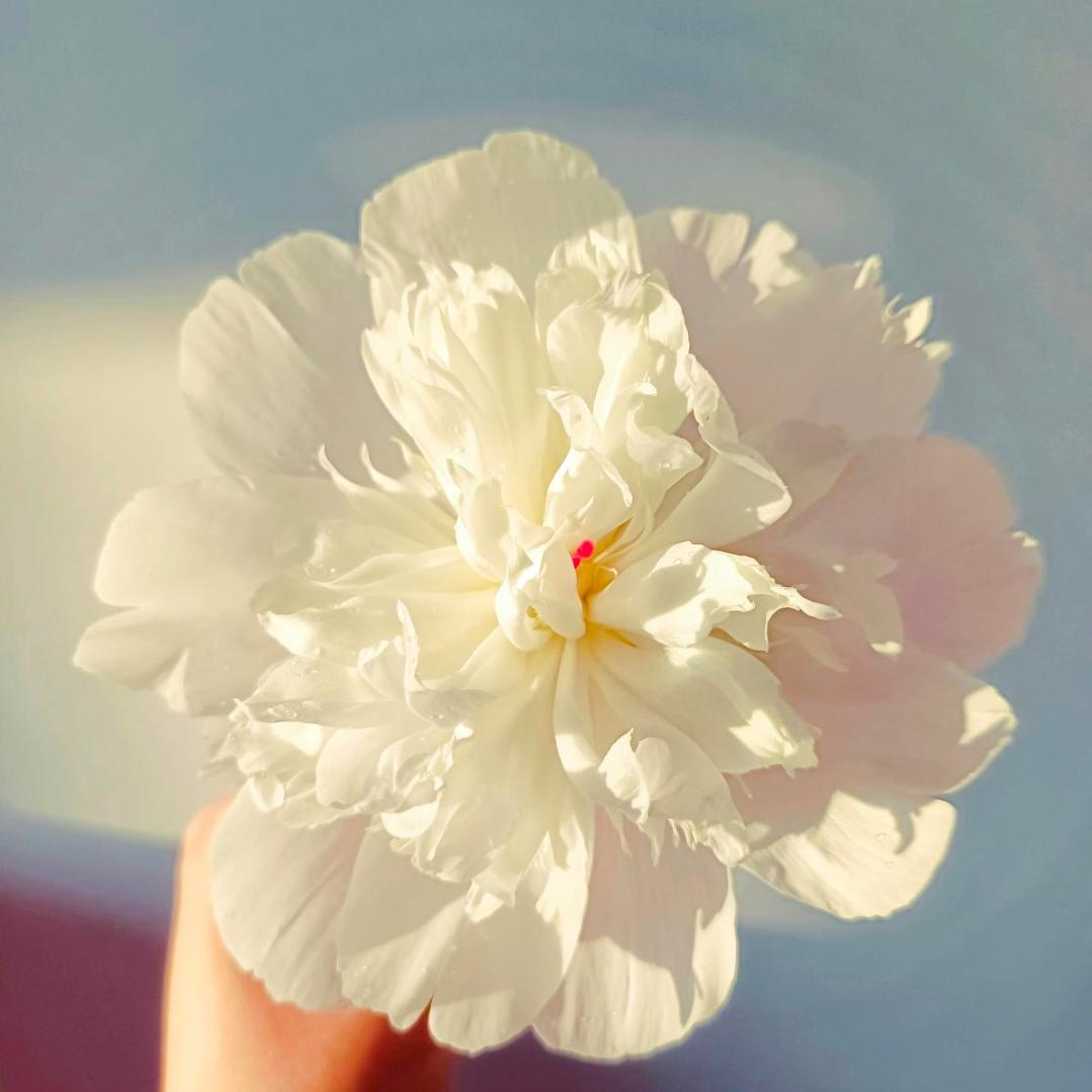 张姐:🌻🍁🌻🍁🌻🍁