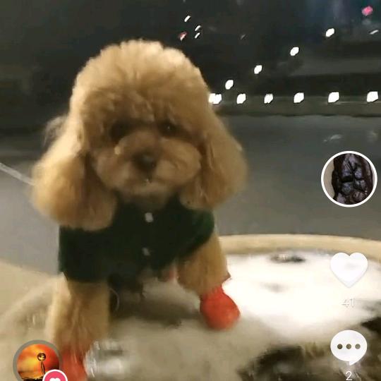 九州一方