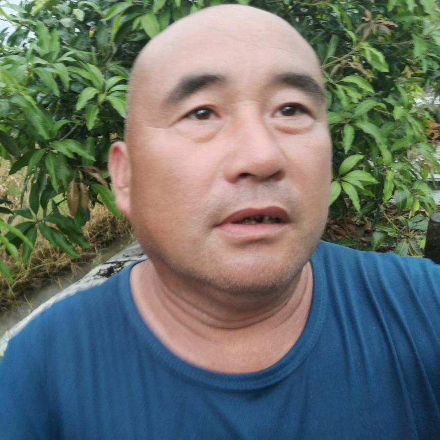 光头叔叔