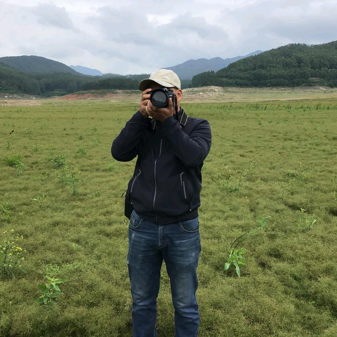 乡村走吧(摄影)