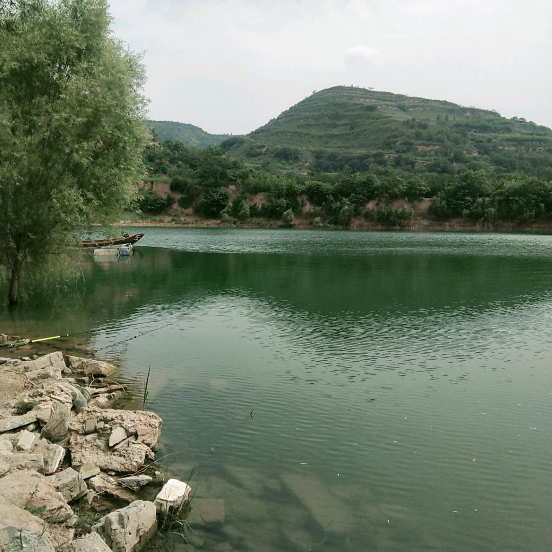 aAA咖啡_不解-酒，