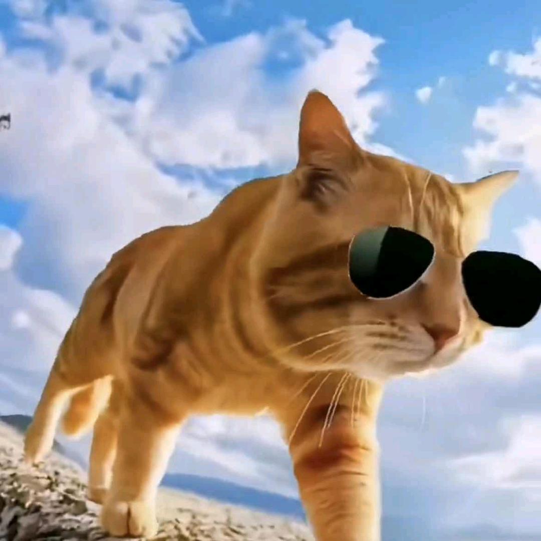 殿巍