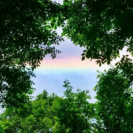 漠漠水田飞鸿雁