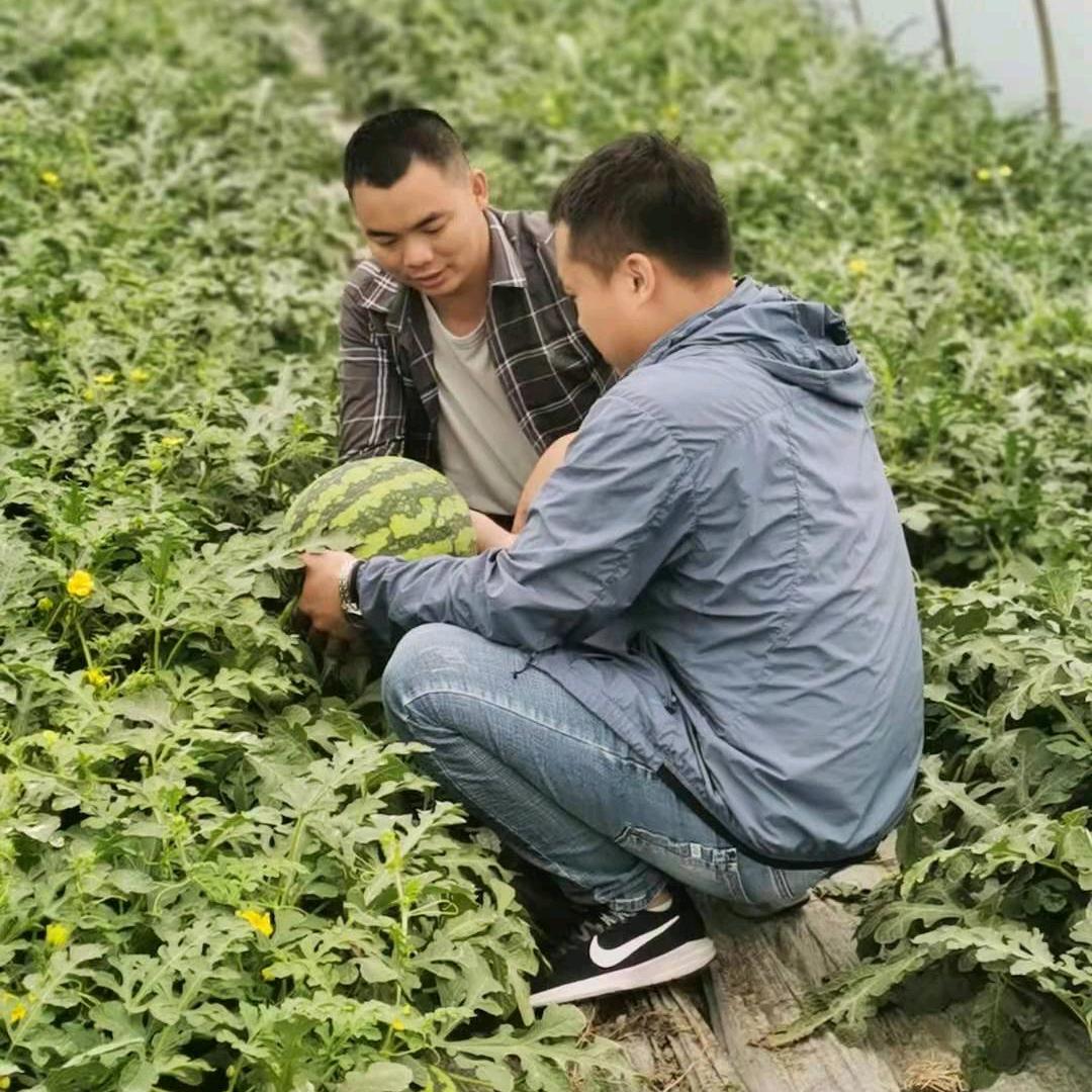 农人小贺——恩泰克