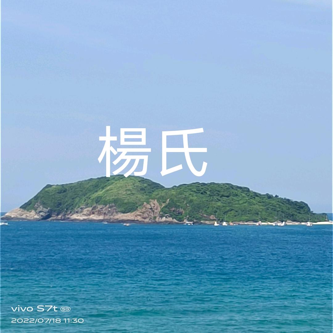 寻真爱