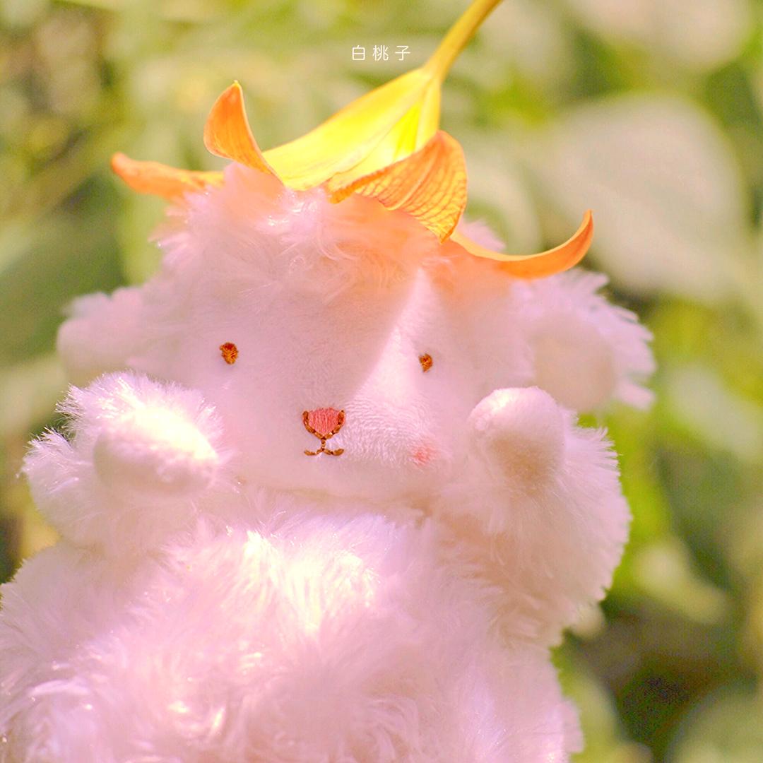 茜茜在努力🌸