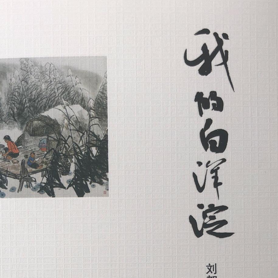 行走的白洋淀