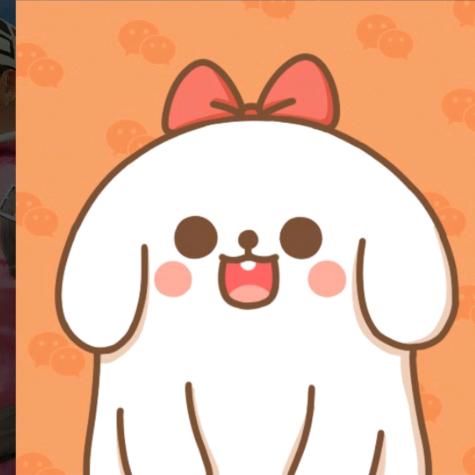 晓@诺诺吖