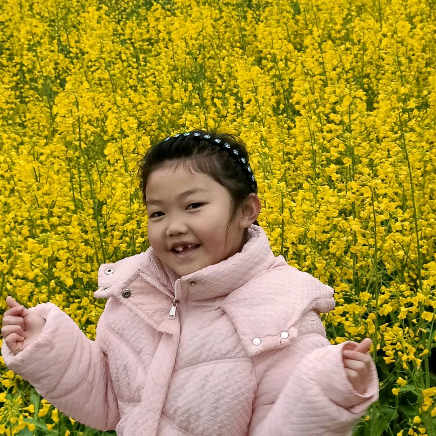 华康蔬菜