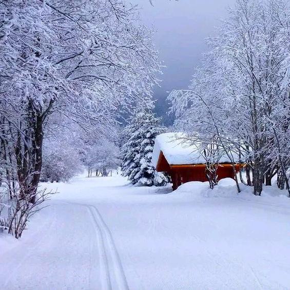 忘了梦又忽略了醒