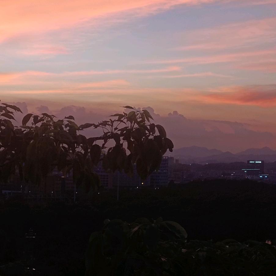 ʢ>残末🐽初心<ʡ