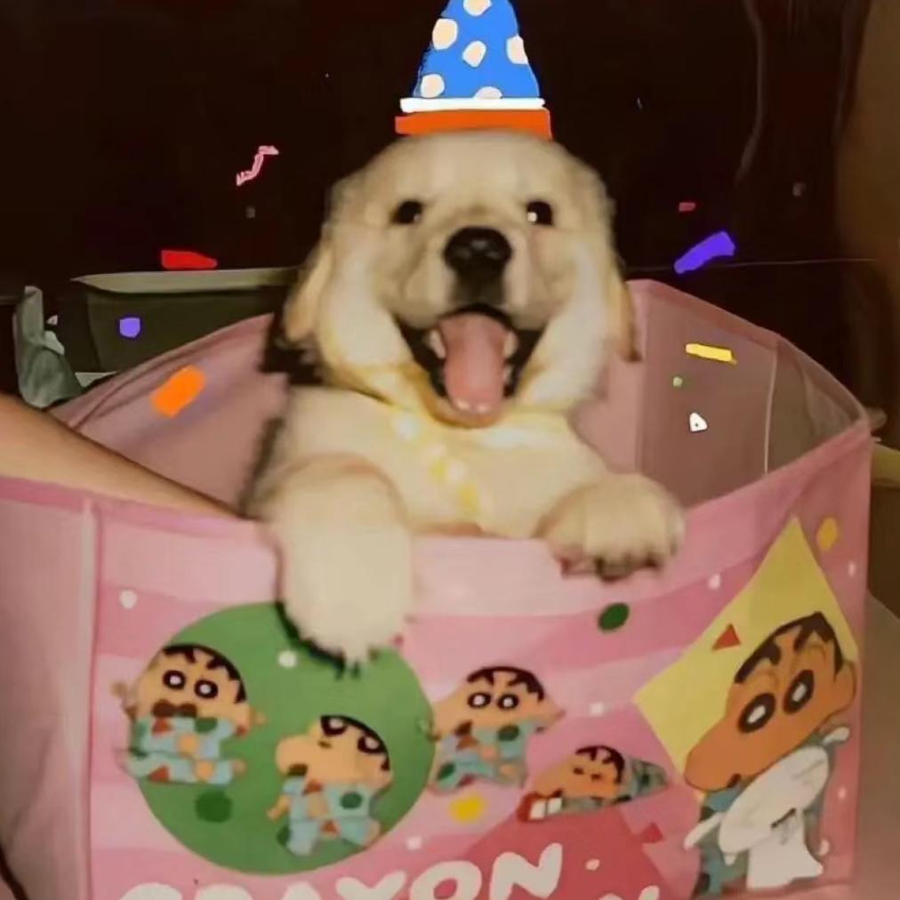 爱吃布丁的胖丁