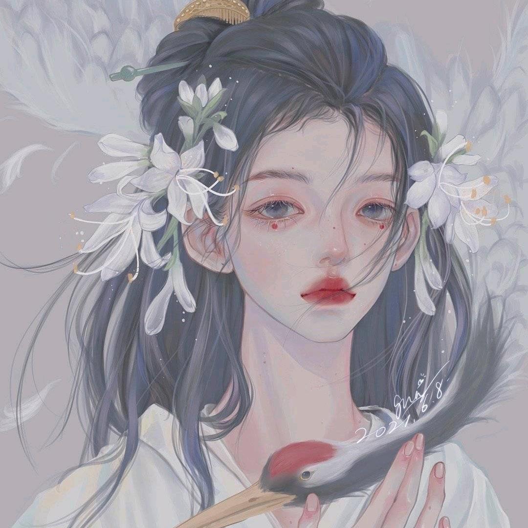箬卿头像