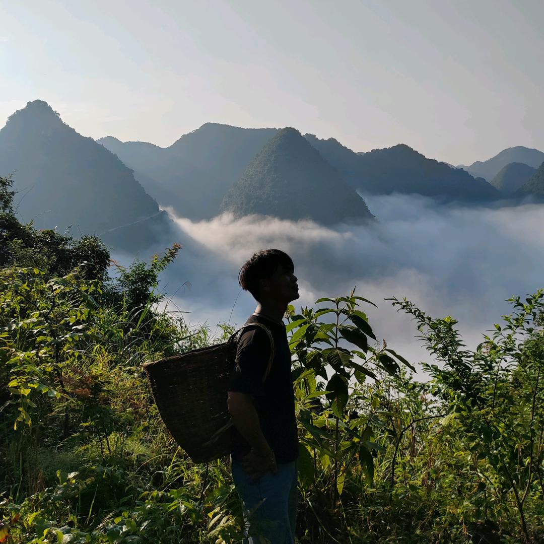 东宝