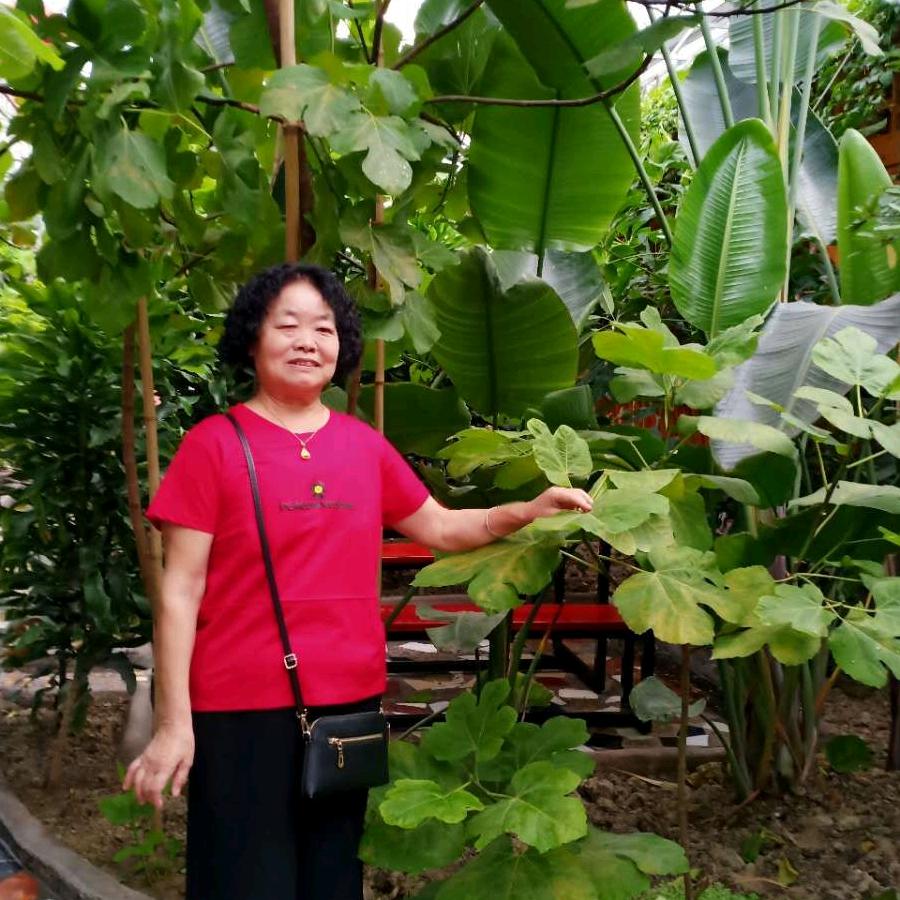 可爱小惜