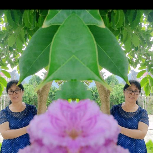 鲜花
