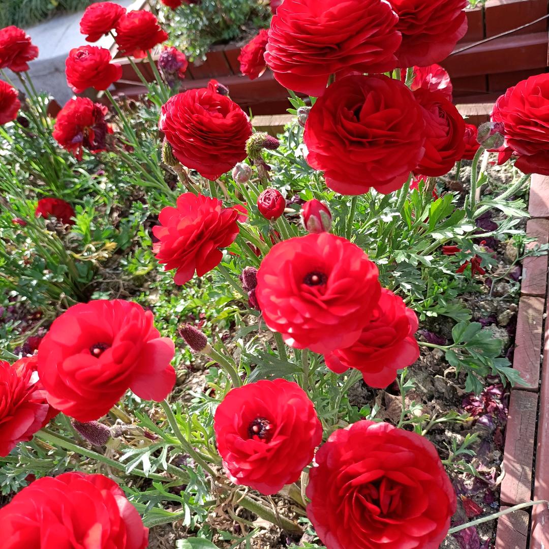 谁是谁的那个谁