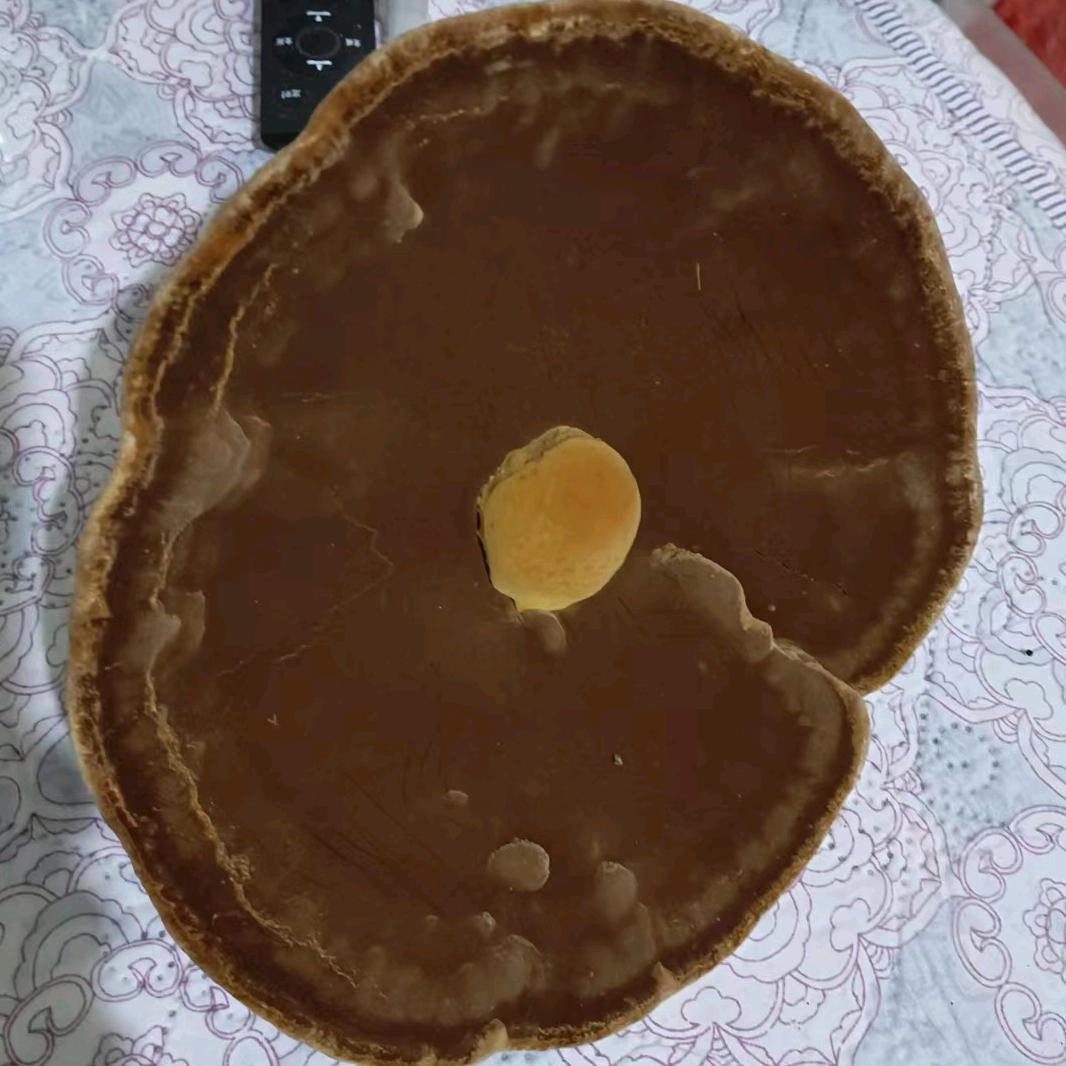 楚源--商贸龙哥