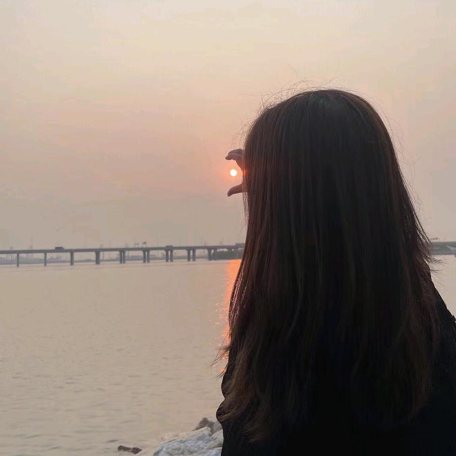 太阳花🌞