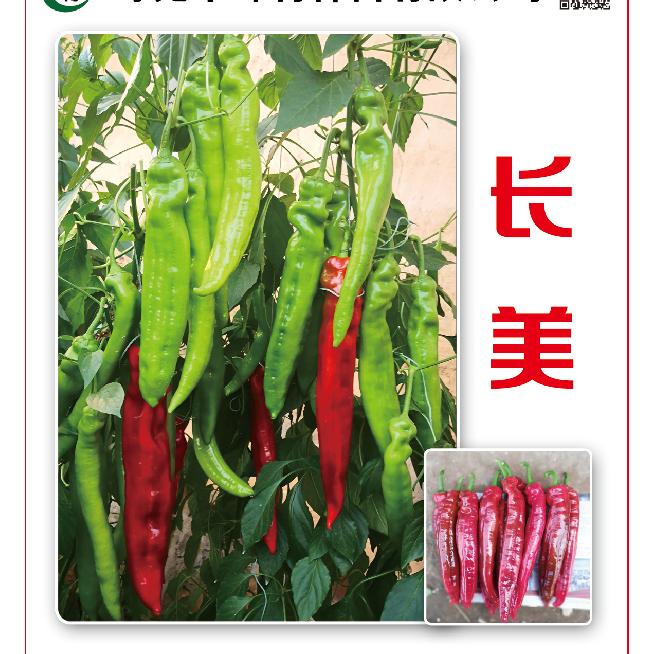 坤特种苗