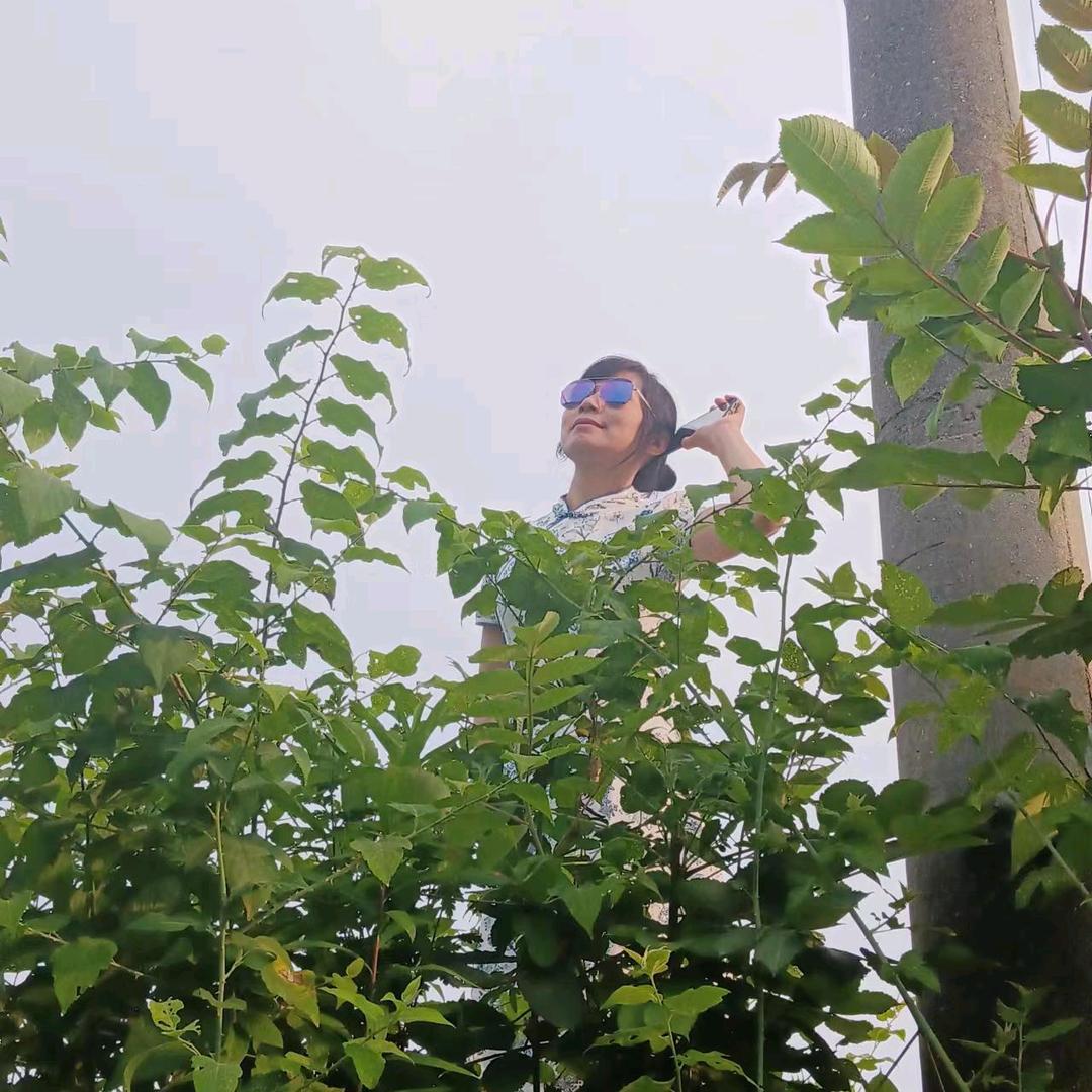 遥远的地方