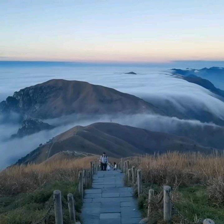 牵小猪看夕阳