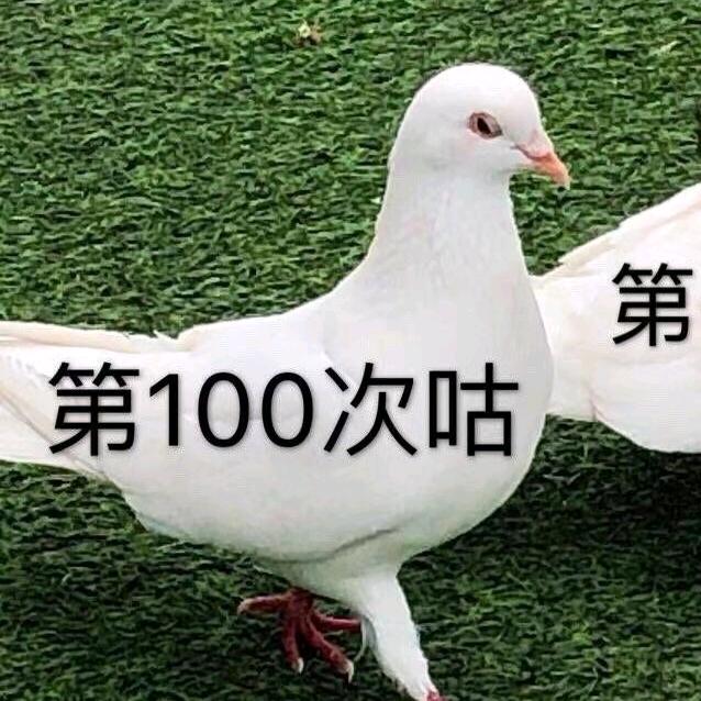 噗喲