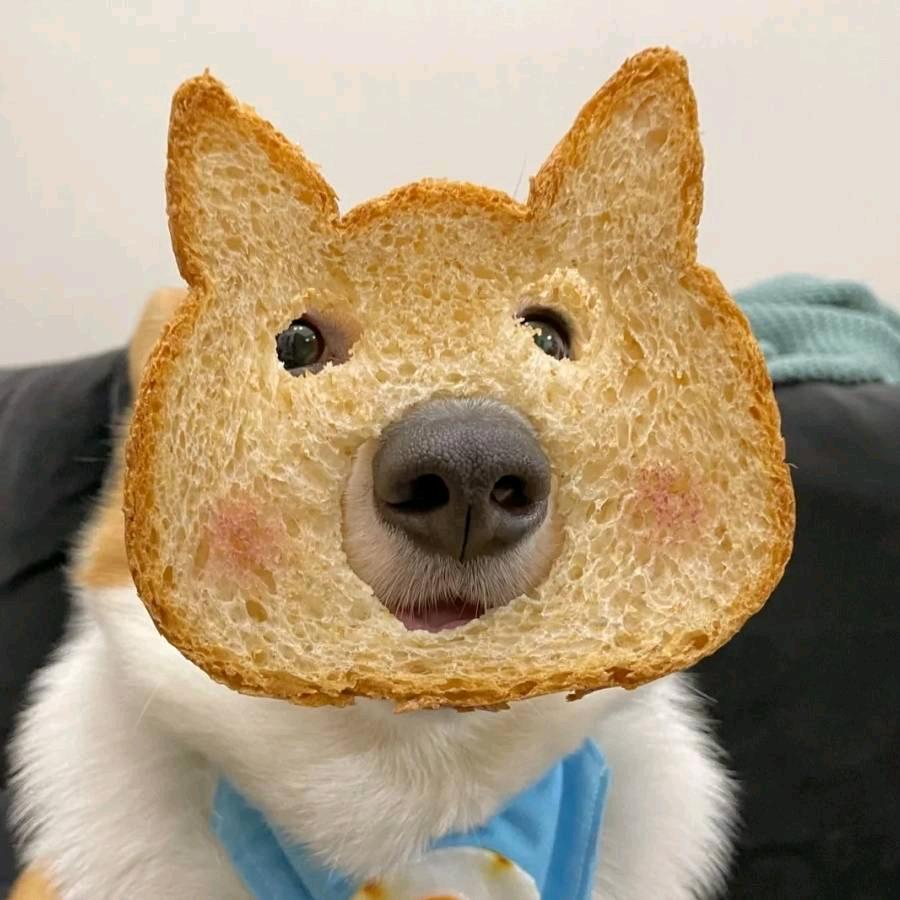 siyi