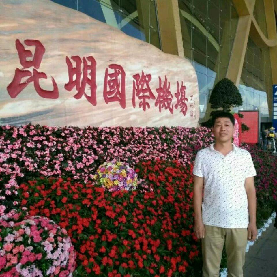 马到功成！