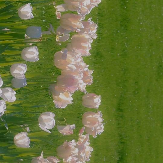 南洋大师傅（四通店）