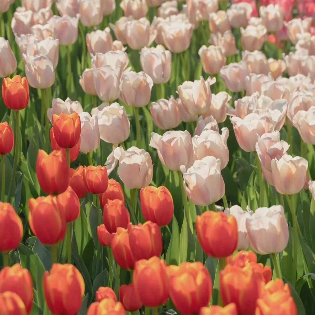 遇到喜欢不容易