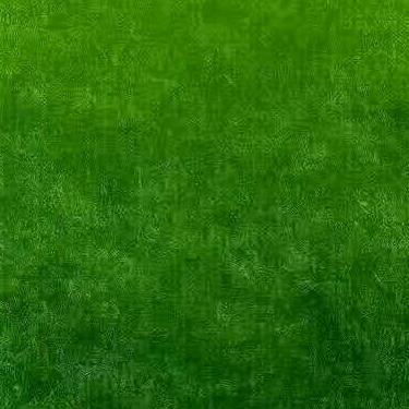 平淡是真