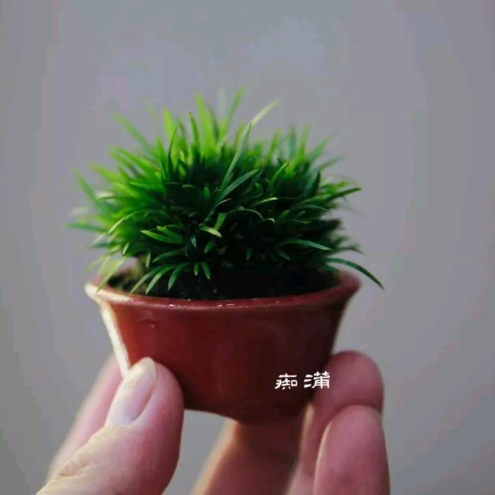 出图侠