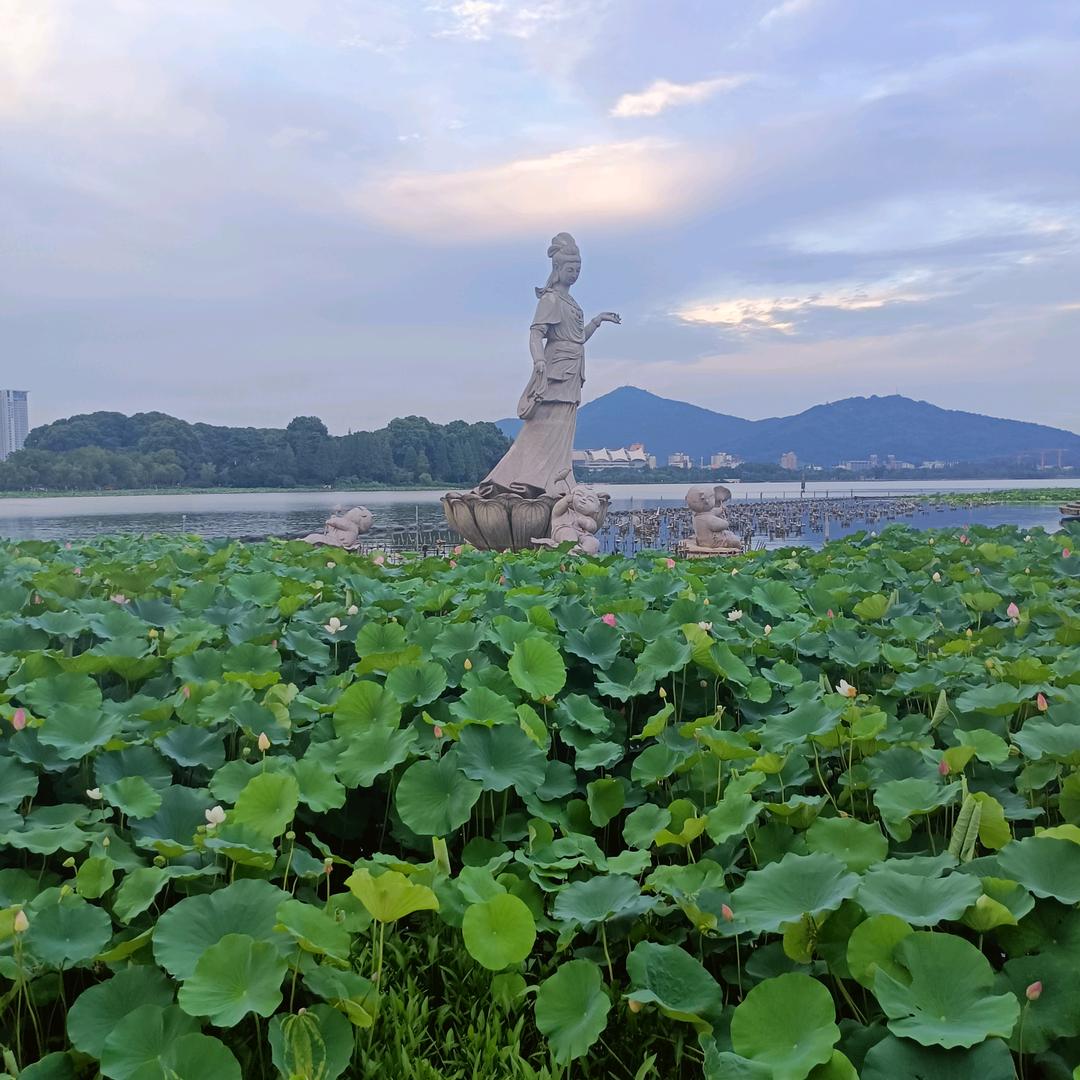 宁静致远