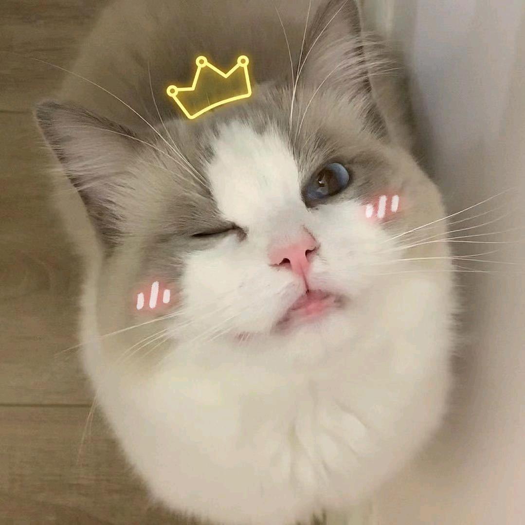 馋嘴猫