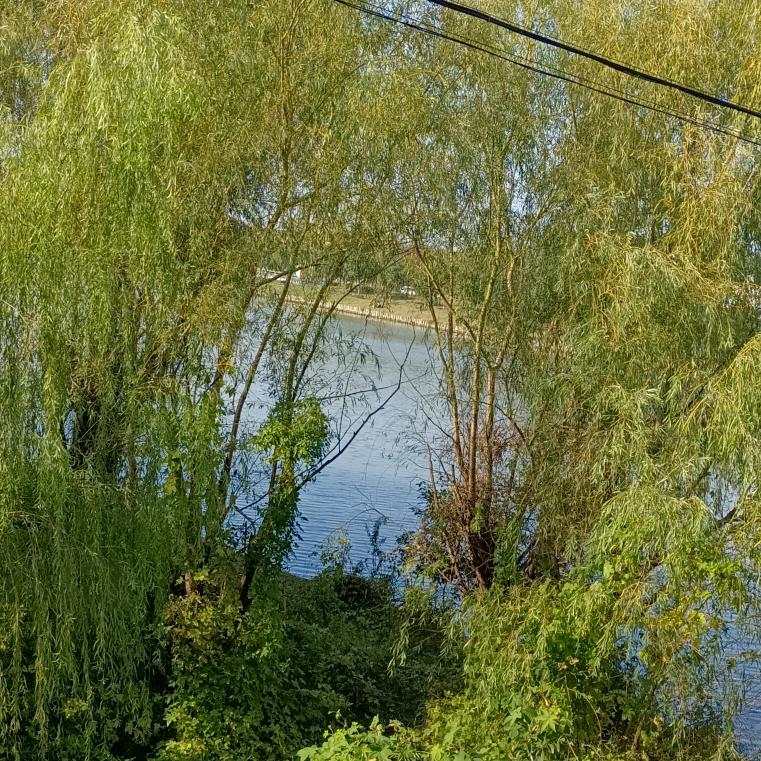 蓦然回首《拒私聊》