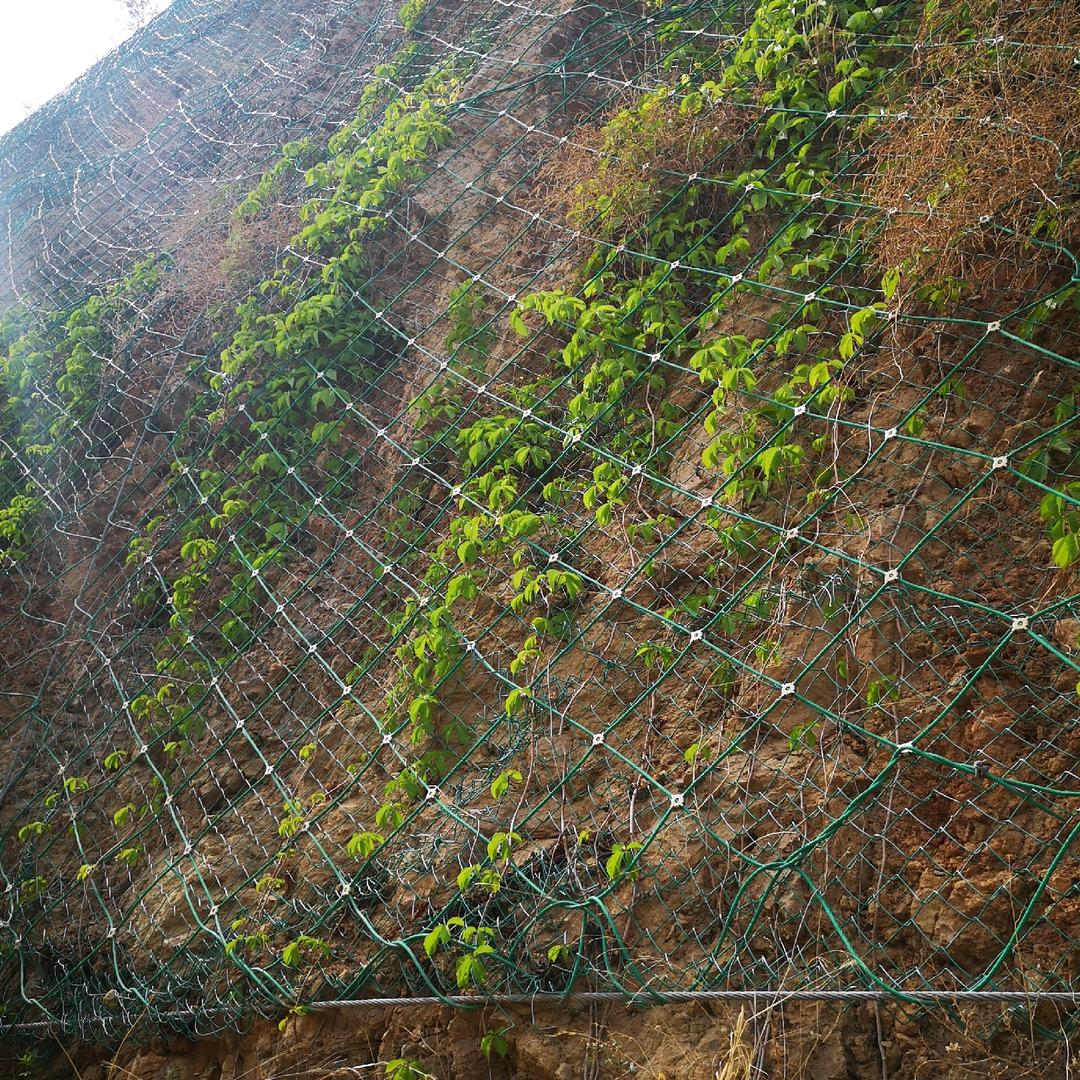 河北建东边坡防护网厂家