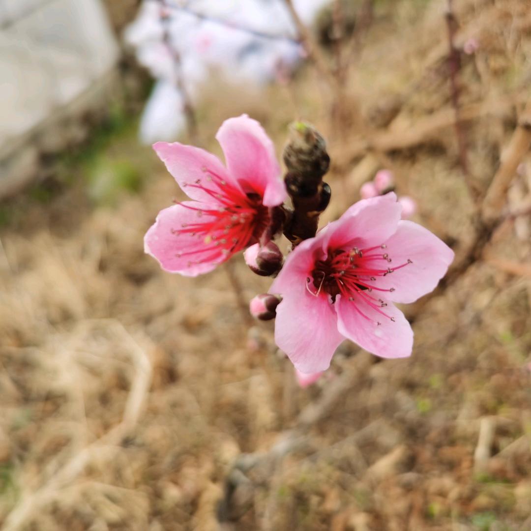 和伟