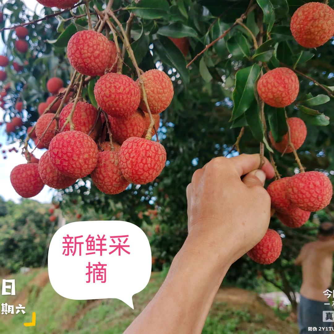 水电工在农村