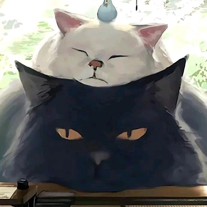 流浪猫屋
