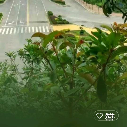 清风细雨