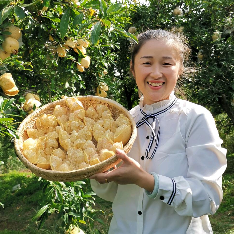 A榴花乡-怀远甜石榴