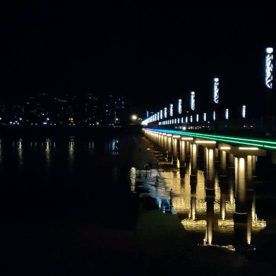睿智🏃‍♂️