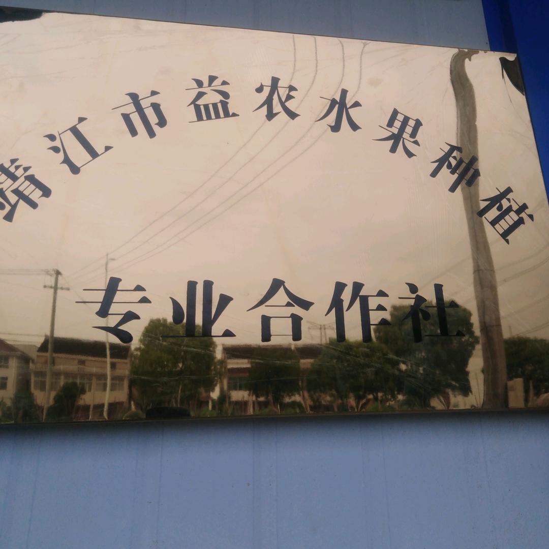 种桃子的老胡