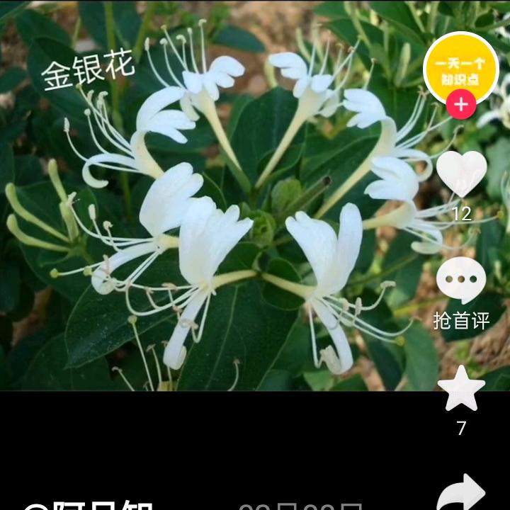 张文方