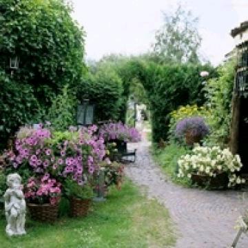 因为一个人放弃一坐城