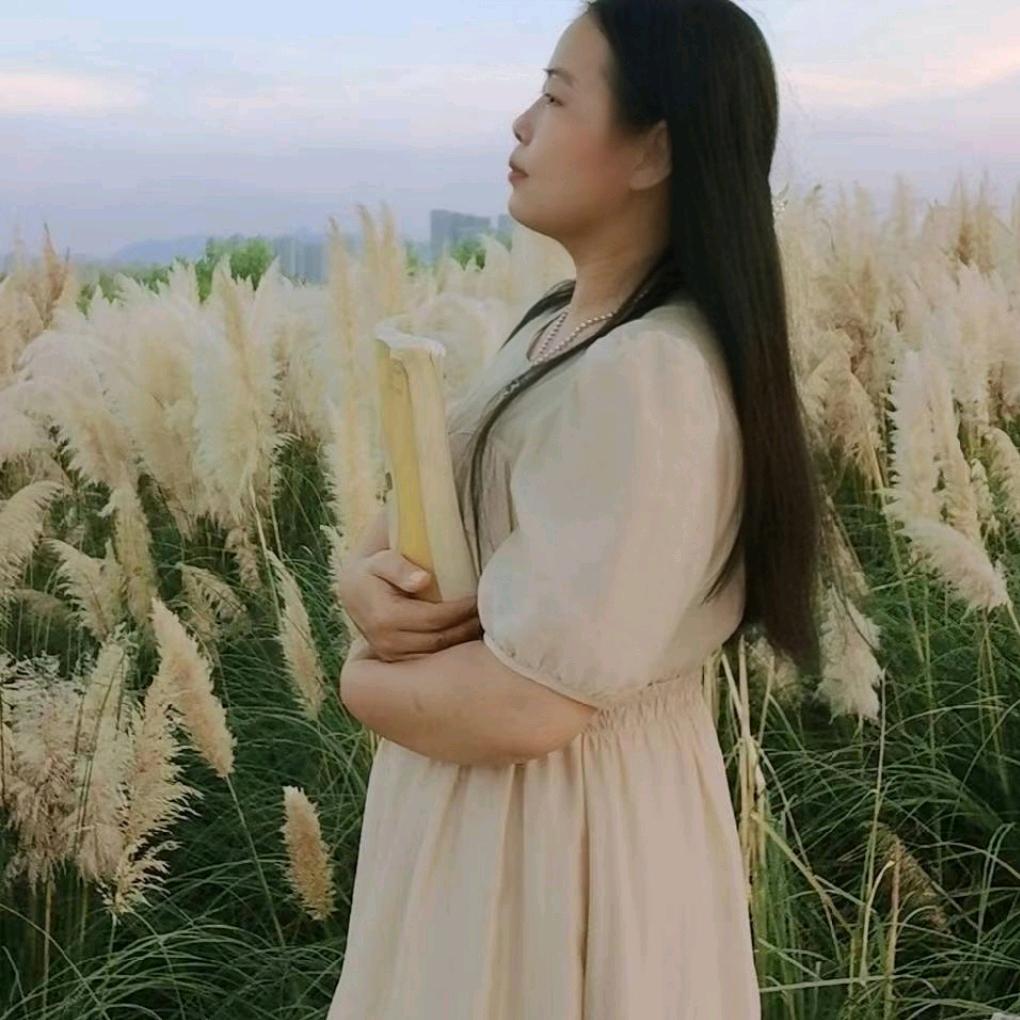 时光静好