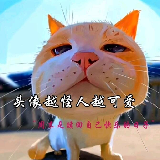 E 哞