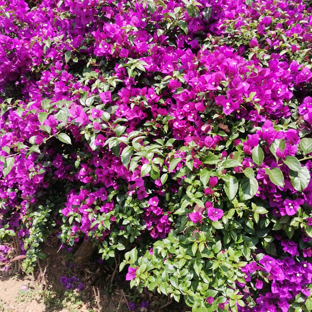 人生苦短好珍惜